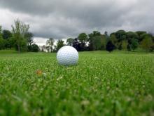 golf ball in grass